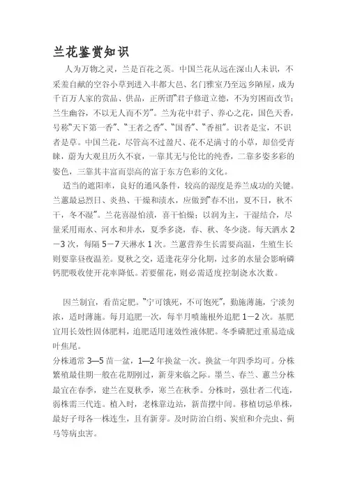 [论文]兰花鉴赏