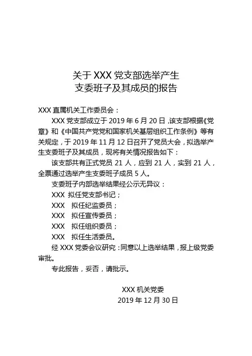 关于XX党支部选举产生支委班子及其成员的报告
