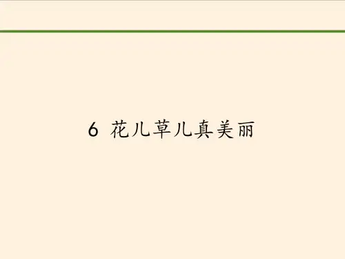 人教部编版道德与法治《花儿草儿真美丽》PPT上课用课件1