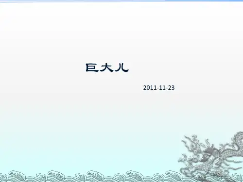 巨大儿 PPT课件
