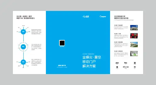 云之家金蝶云·星空