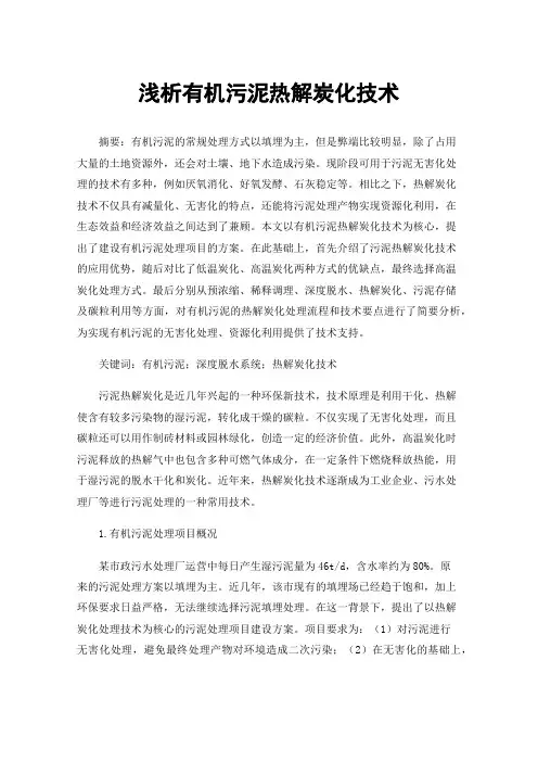 浅析有机污泥热解炭化技术