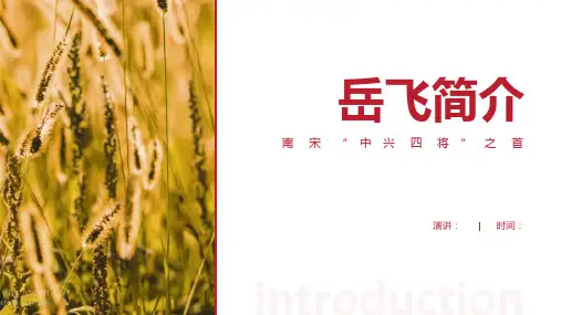 岳飞简介PPT-经典的岳飞介绍
