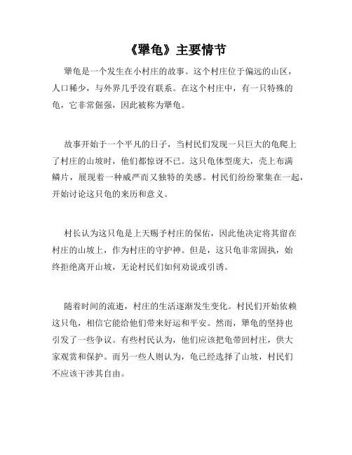 《犟龟》主要情节