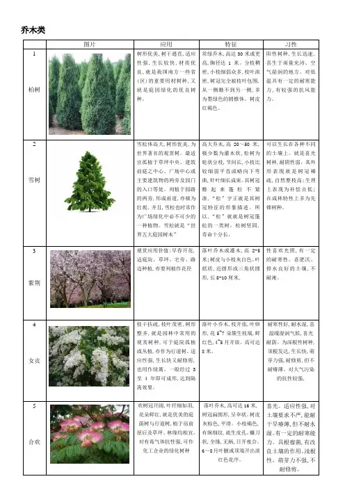 60种植物整理乔木类