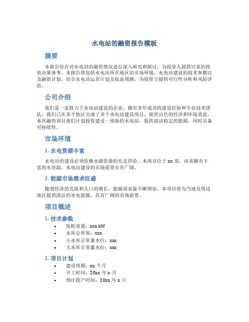 水电站的融资报告模板