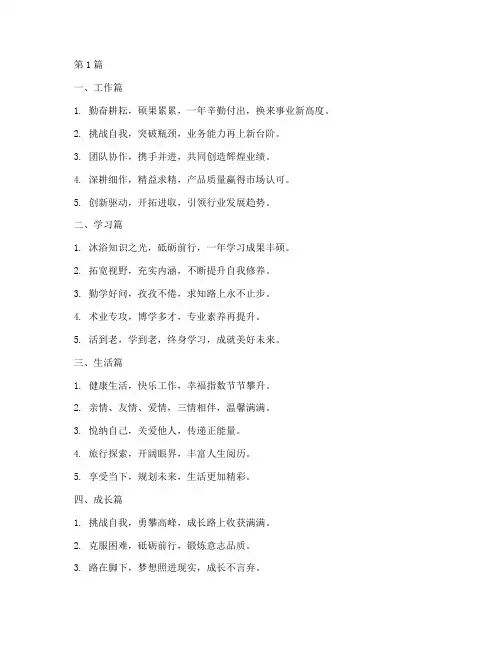 年度总结精简句子摘抄(3篇)