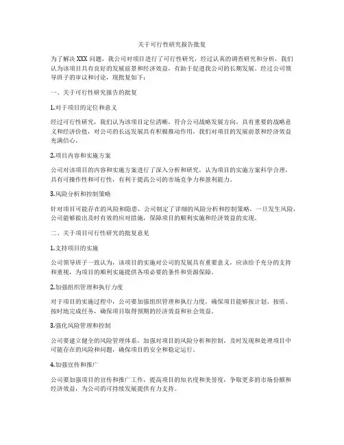 关于可行性研究报告批复