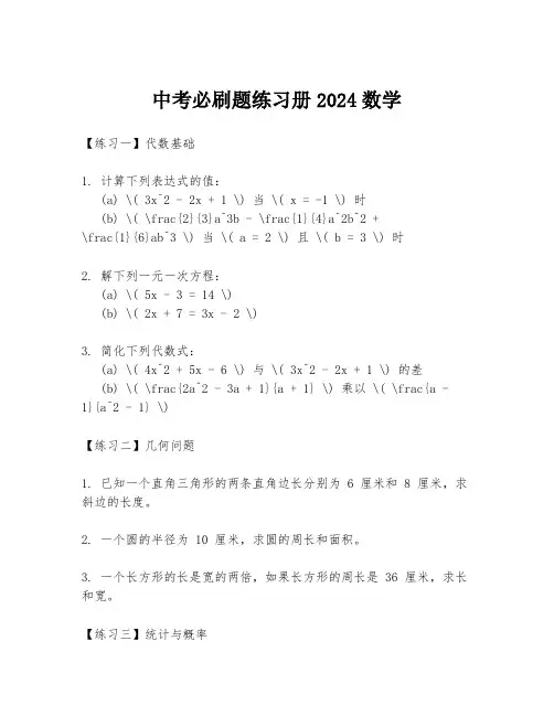 中考必刷题练习册2024数学