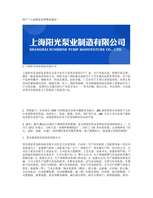 国产十大油桶泵品牌哪家最好？
