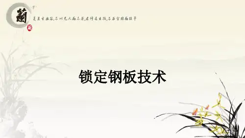锁定钢板技术ppt课件