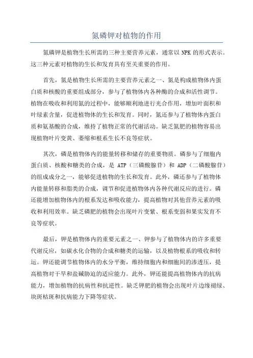 氮磷钾对植物的作用