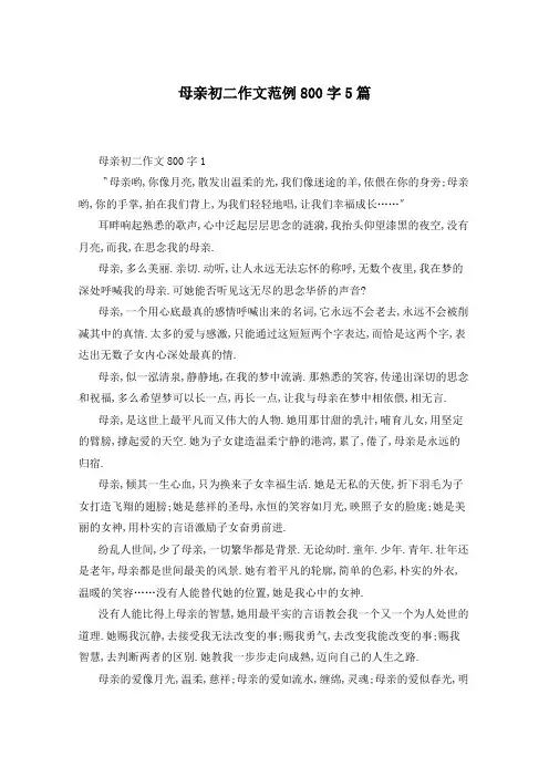 母亲初二作文范例800字5篇