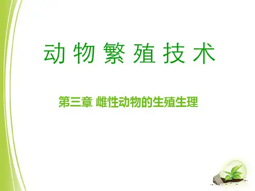 雌性动物生殖生理