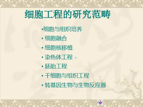 第二章细胞培养及培养细胞的特点