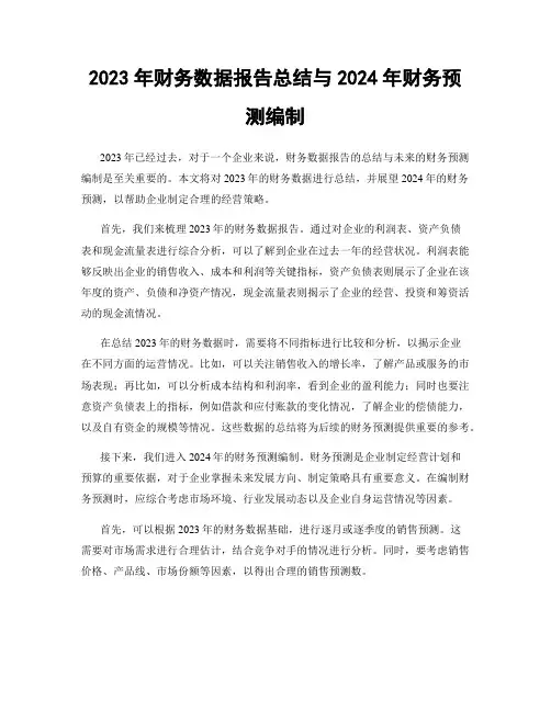 2023年财务数据报告总结与2024年财务预测编制