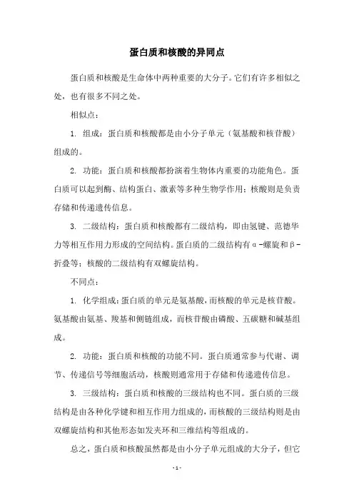 蛋白质和核酸的异同点