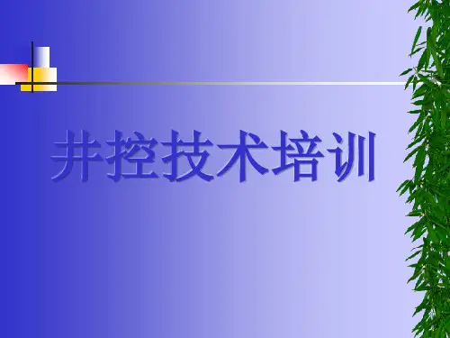井控技术之专用设备及工具专题培训课件