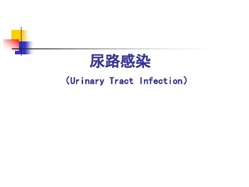 内科学课件： 尿路感染-