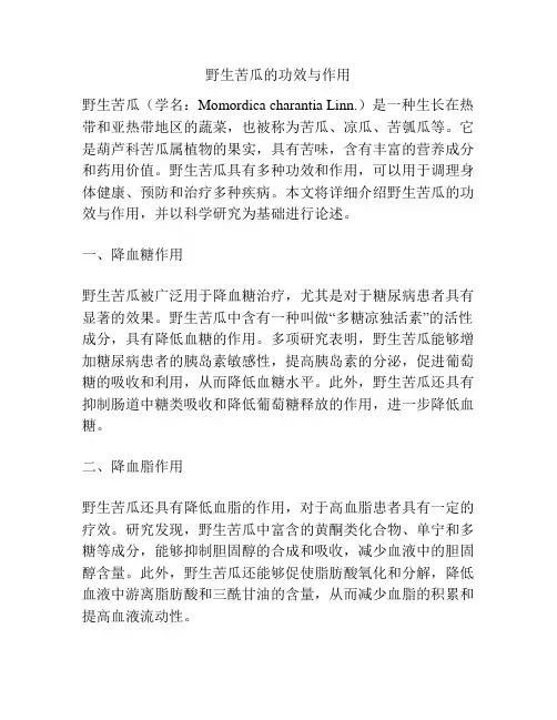 野生苦瓜的功效与作用