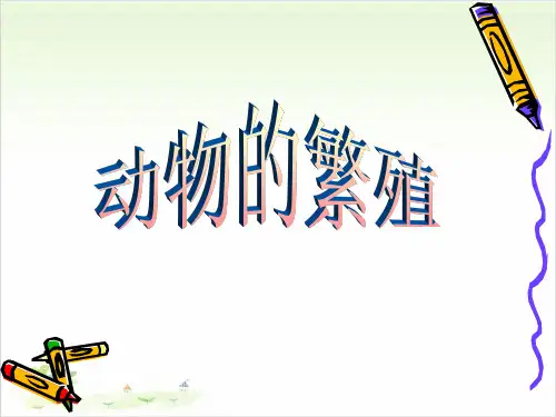 四年级下册科学-动物的繁殖活动优秀课件教科版课件PPT