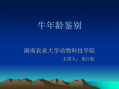 牛的年龄鉴别