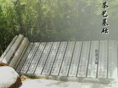 PPT第十一章