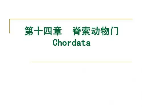 14脊索动物门