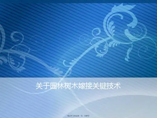 园林树木嫁接关键技术课件