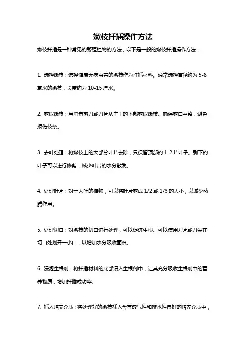 嫰枝扦插操作方法