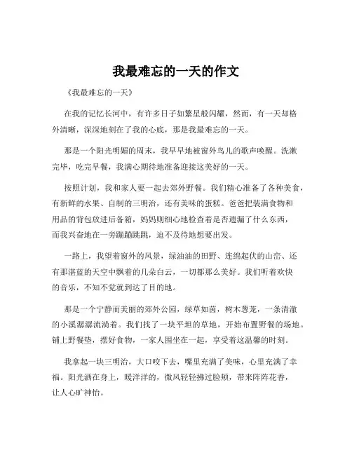 我最难忘的一天的作文