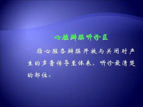 心脏听诊1