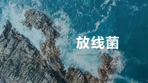 放线菌简介