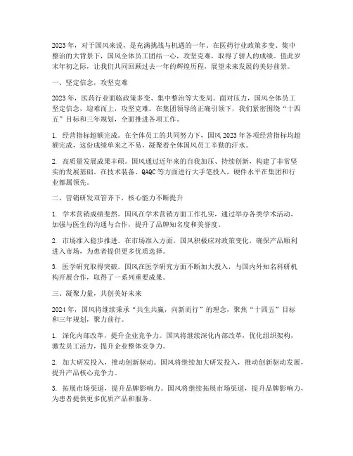 年度总结国风