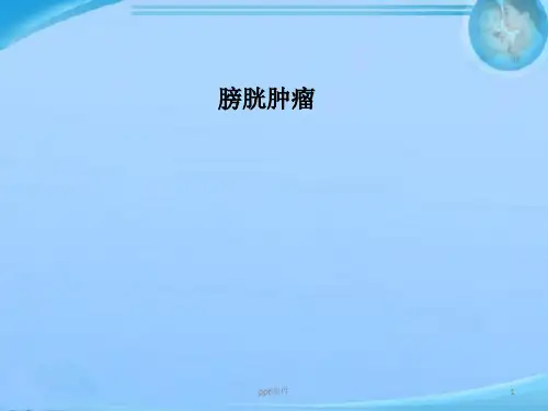 膀胱肿瘤  ppt课件