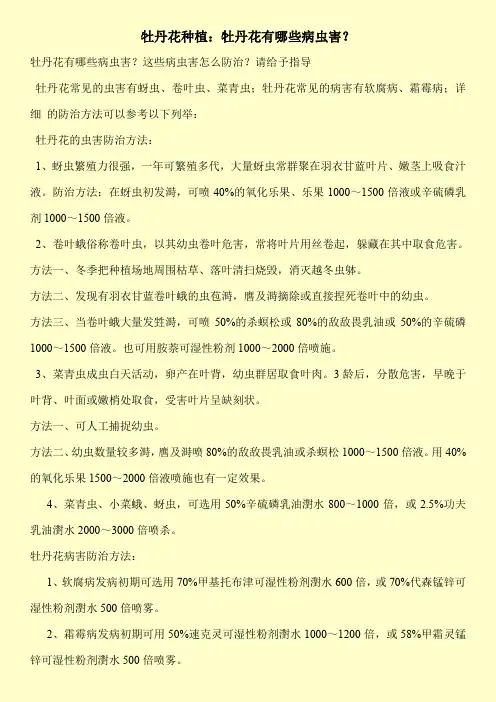 【精品】牡丹花种植：牡丹花有哪些病虫害？