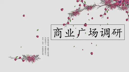 商场调研报告