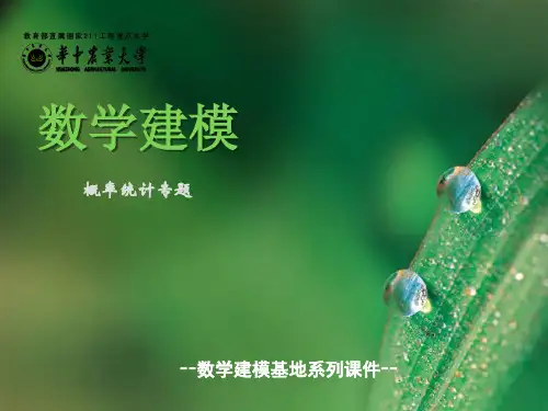 华中农业大学数学建模概率统计专题ppt模板