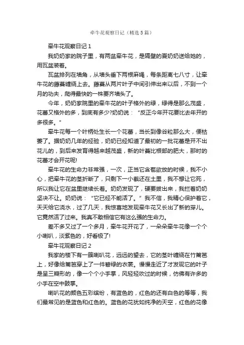 牵牛花观察日记（精选5篇）