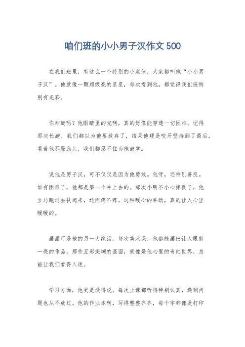 咱们班的小小男子汉作文500