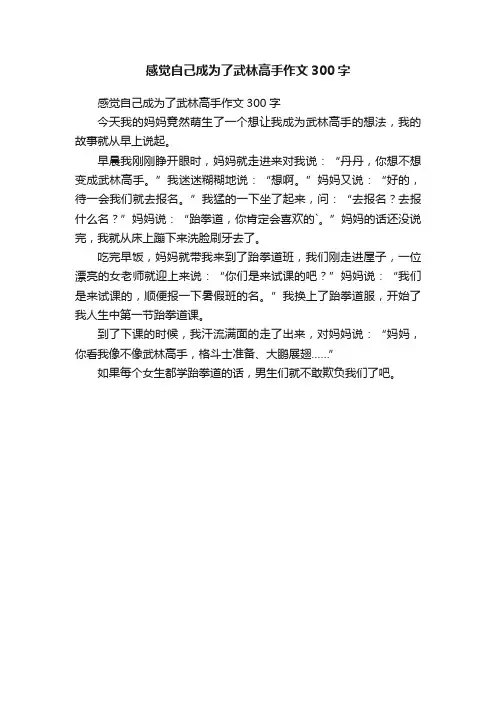 感觉自己成为了武林高手作文300字