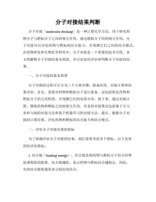 分子对接结果判断