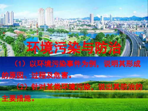 环境污染与防治(PPT 30页)
