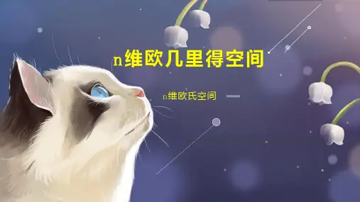 n维欧几里得空间