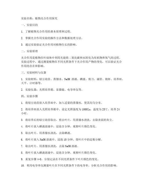 生物课程实验报告
