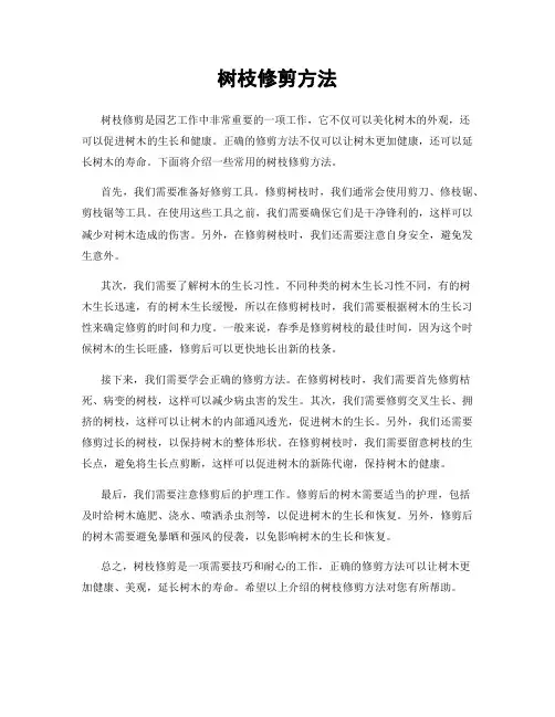 树枝修剪方法