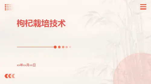 枸杞栽培技术