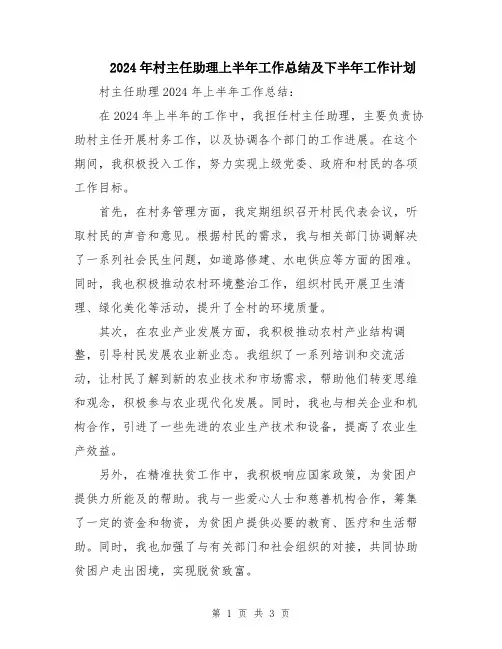 2024年村主任助理上半年工作总结及下半年工作计划