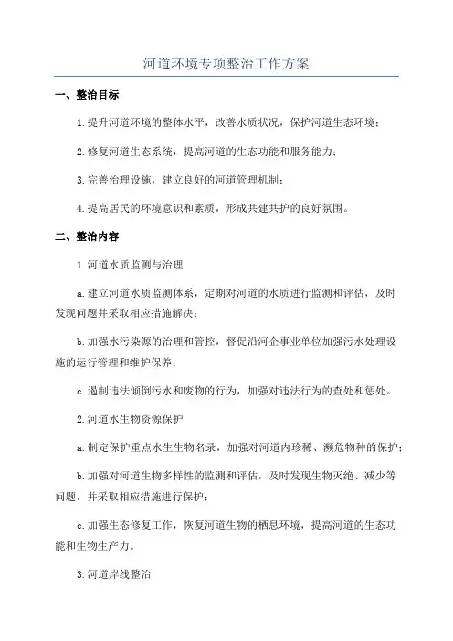 河道环境专项整治工作方案