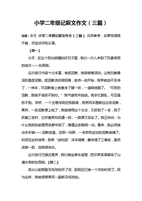 小学二年级记叙文作文(三篇)
